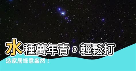 水種萬年青風水|萬年青與風水：有益身心、家庭和睦